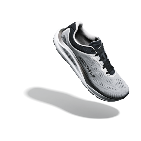 AL0A85WS84D-ALT5 AL0A85WS84D-ALT5